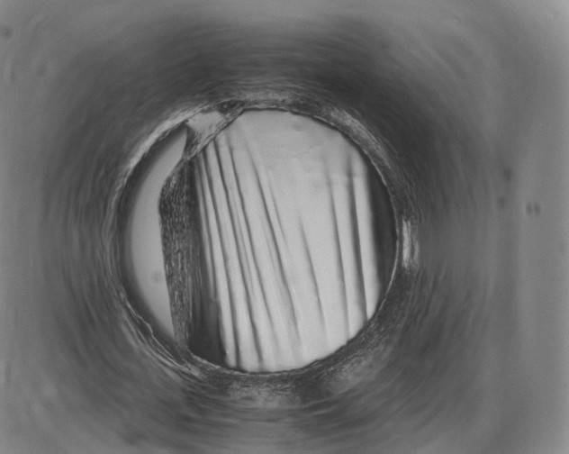 X0000085070723200704021410