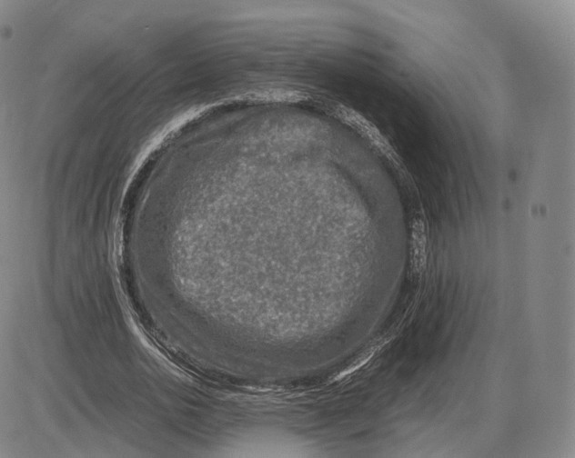 X0000085070726200704021410