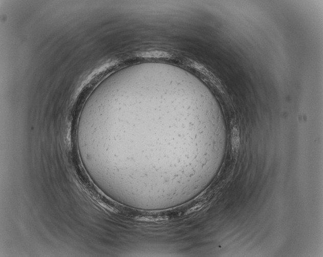 X0000085070727200704021410