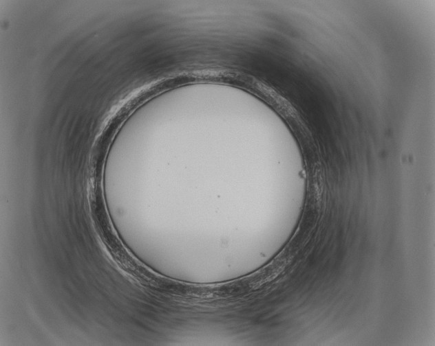 X0000085070728200704021410