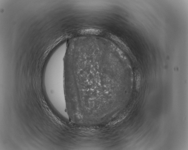 X0000085070729200704021410