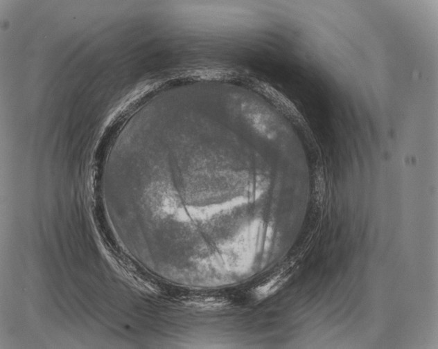 X0000085070730200704021410