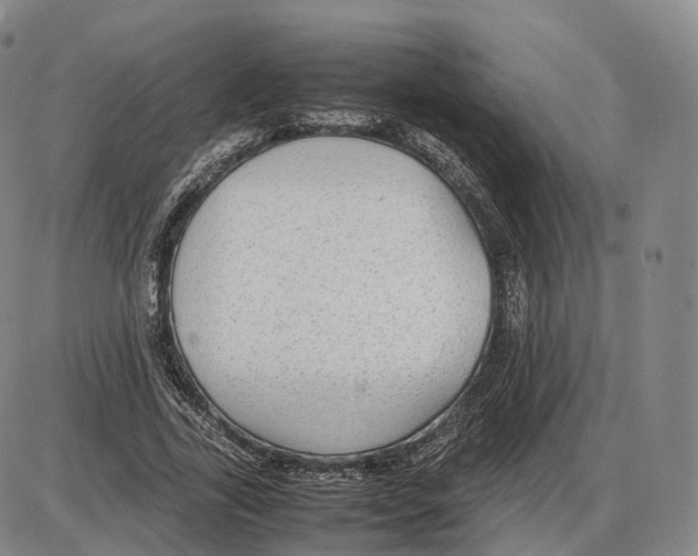 X0000085070731200704021410