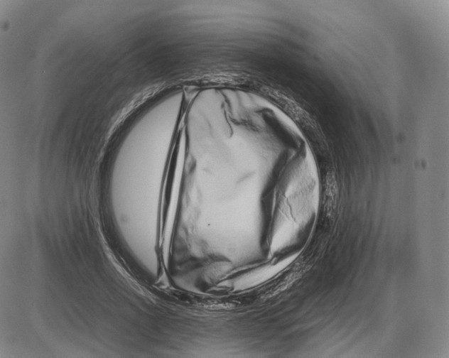 X0000085070734200704021410