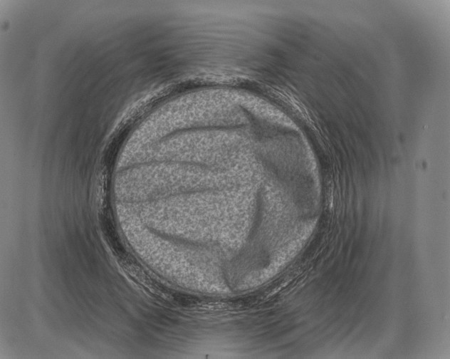 X0000085070736200704021410