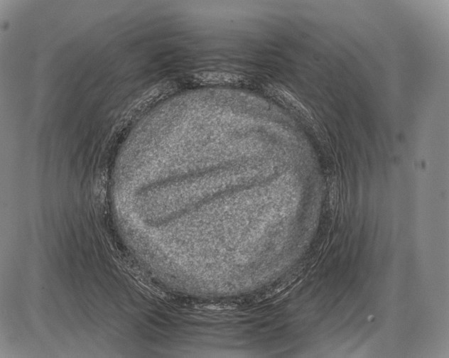 X0000085070737200704021410