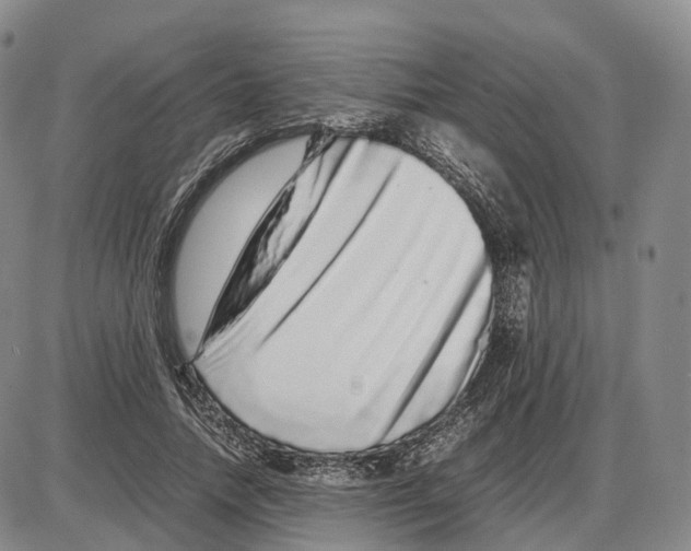 X0000085070738200704021410