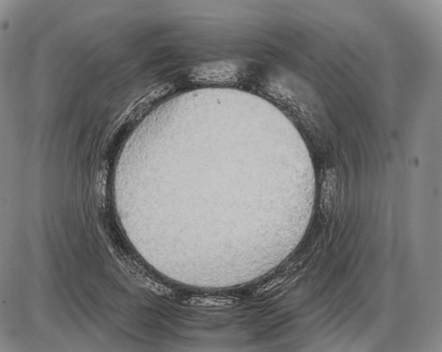 X0000085070739200704021410