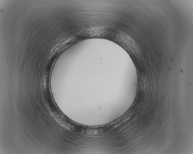 X0000085070740200704021410