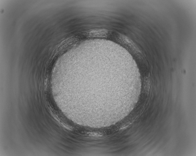 X0000085070741200704021410