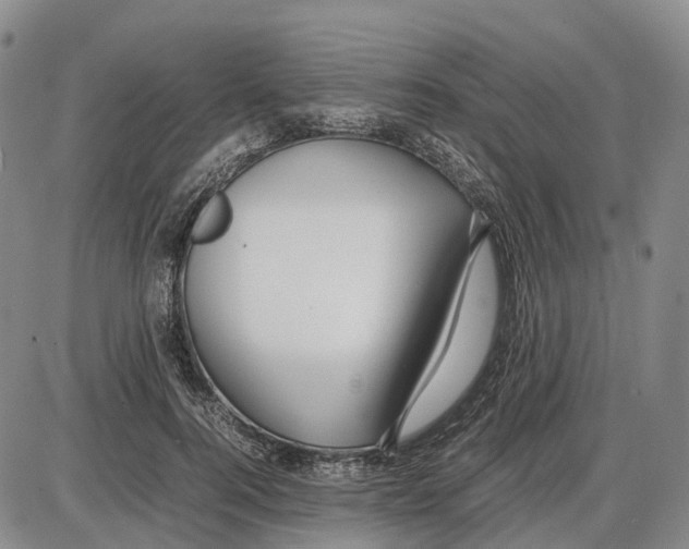 X0000085070744200704021410