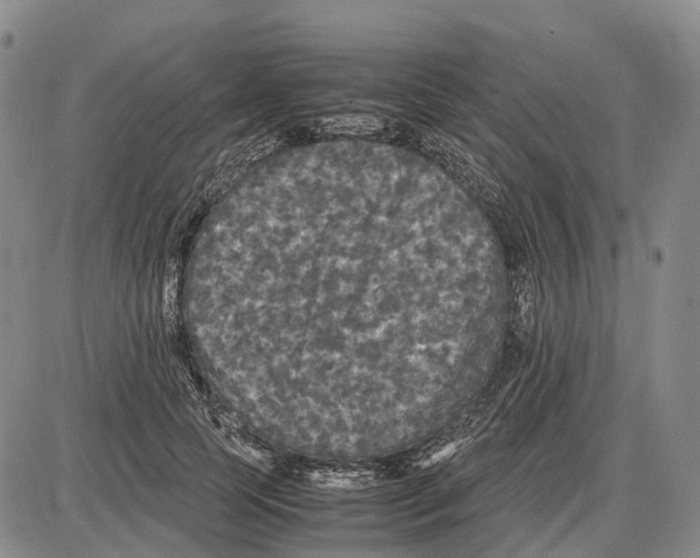 X0000085070745200704021410