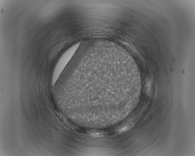 X0000085070746200704021410