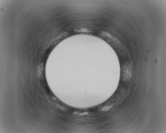 X0000085070747200704021410