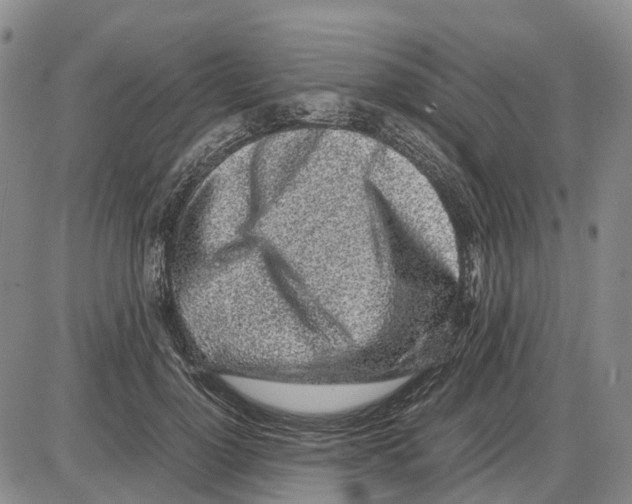 X0000085070748200704021410