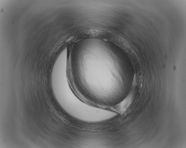 X0000085070750200704021410