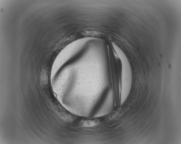 X0000085070751200704021410