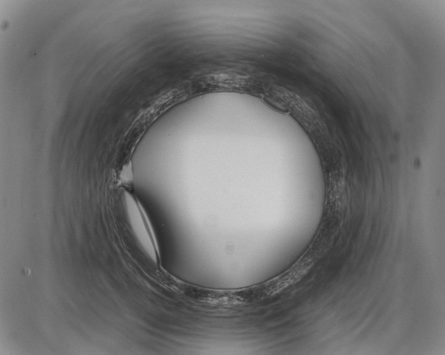 X0000085070752200704021410