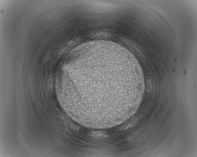 X0000085070753200704021410