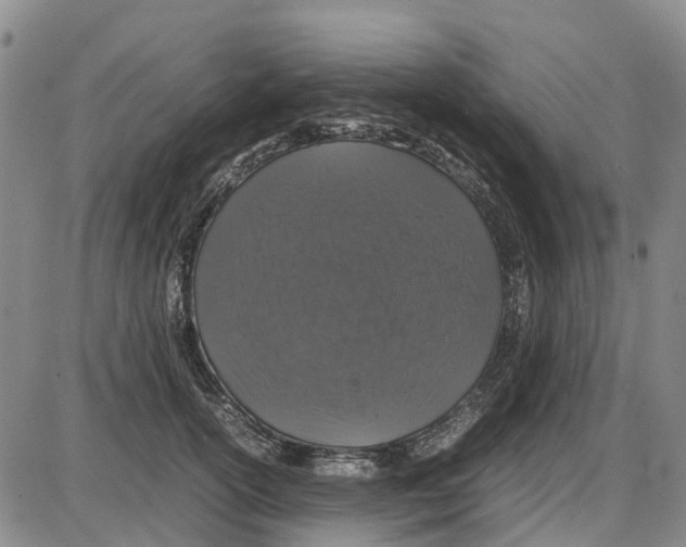 X0000085070754200704021410