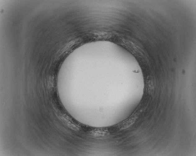 X0000085070756200704021410