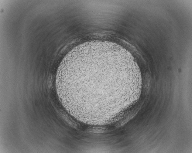 X0000085070758200704021411