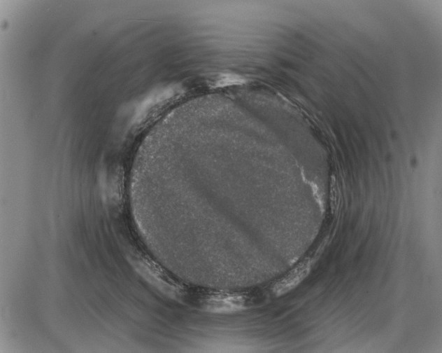 X0000085070760200704021411