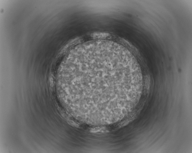 X0000085070761200704021411