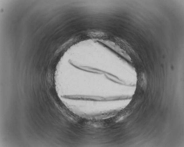 X0000085070763200704021411