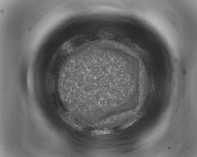 X0000085070765200704021411