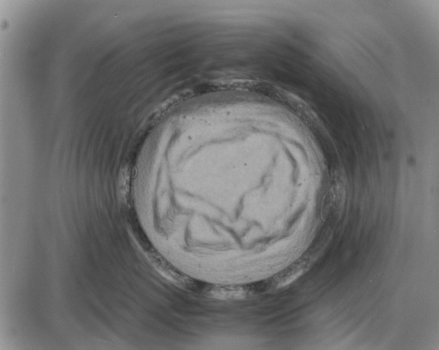 X0000085070767200704021411