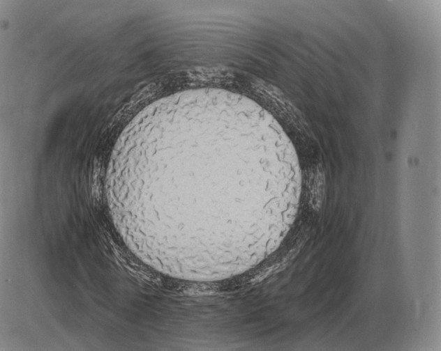 X0000085070770200704021410