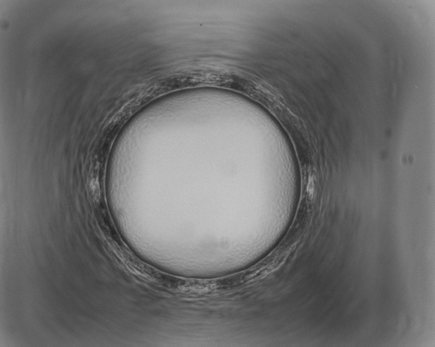 X0000085070771200704021410