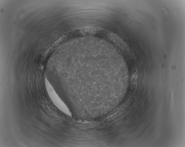 X0000085070772200704021410