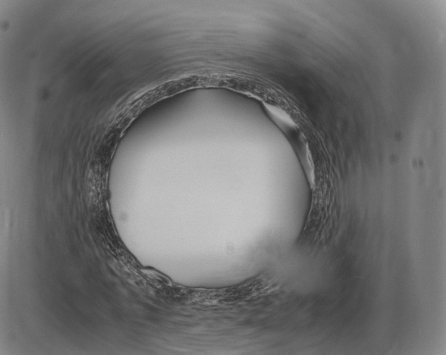 X0000085070773200704021410