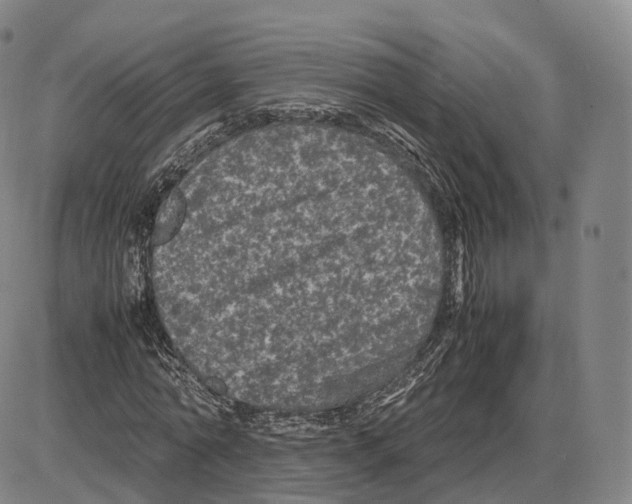 X0000085070774200704021410