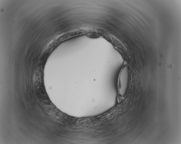 X0000085070776200704021410