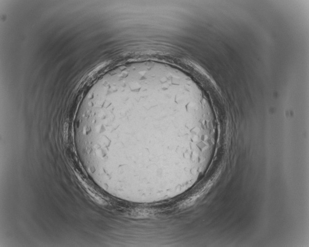 X0000085070777200704021410