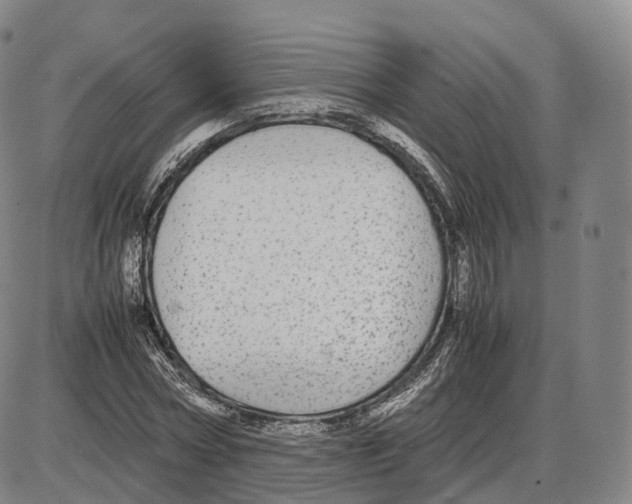 X0000085070778200704021410