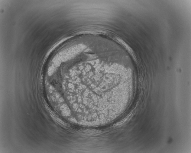 X0000085070779200704021410