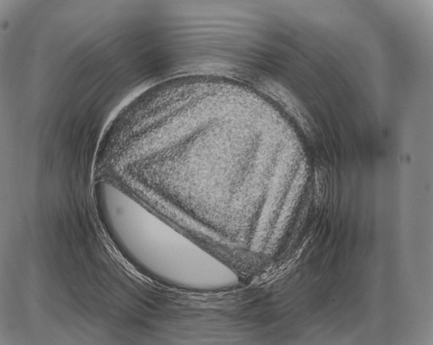 X0000085070780200704021410