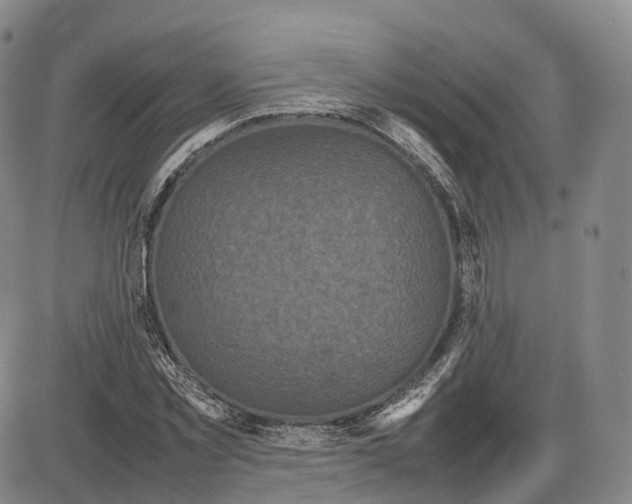 X0000085070781200704021410