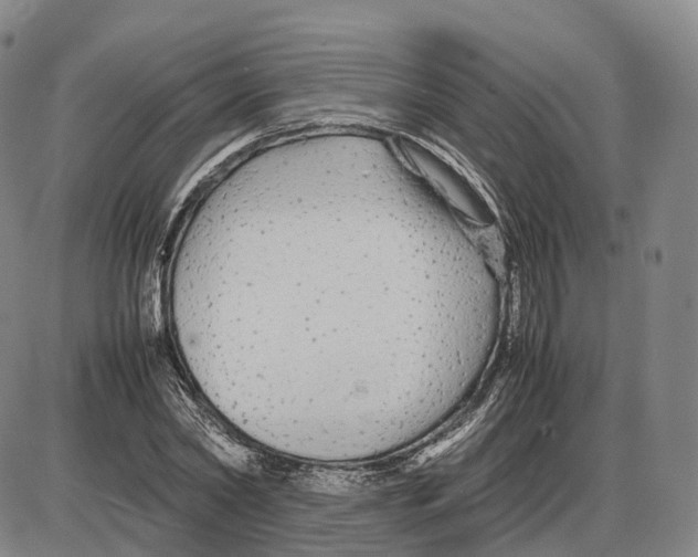 X0000085070782200704021410