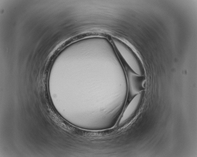 X0000085070783200704021410