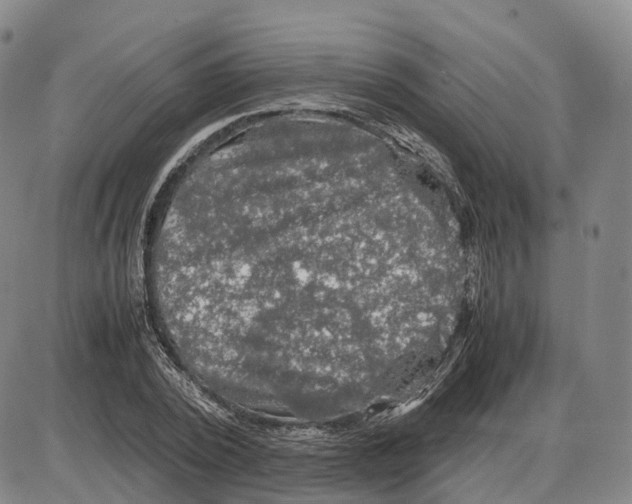 X0000085070784200704021410