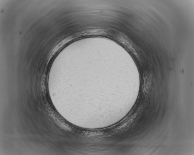 X0000085070786200704021410