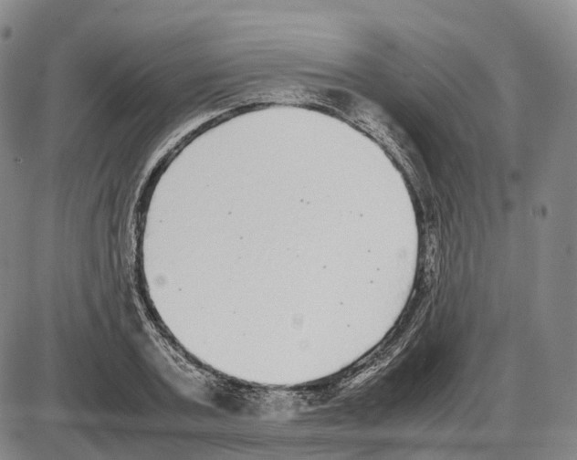 X0000085070787200704021410