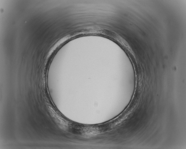 X0000085070789200704021410