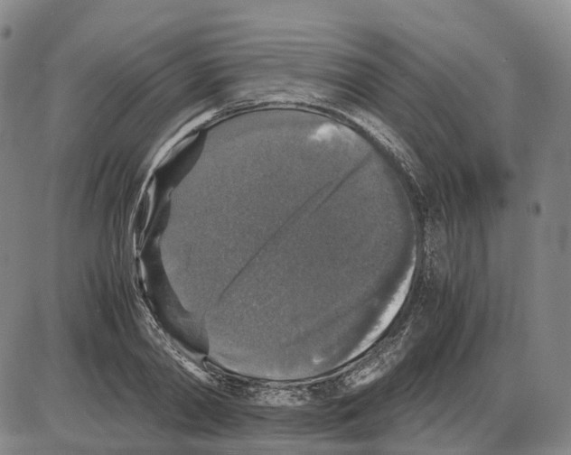 X0000085070790200704021410