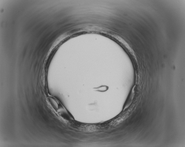 X0000085070791200704021410